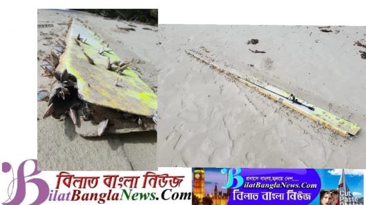 অষ্ট্রেলিয়ার সমুদ্র সৈকতে, নিখোজ মালয়েশিয়ান বিমানের সন্ধান লাভের দাবী