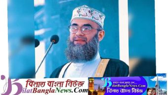মাওলানা গোলাম সরোয়ার সাঈদী আর নেই