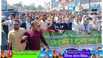 সুনামগঞ্জে বিএনপির সমাবেশ ও বিক্ষোভ মিছিল