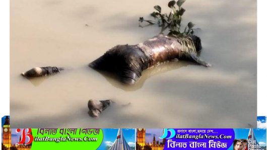 ছাতকে বটেরখাল থেকে উদ্ধার হওয়া লাশ বেওয়ারিশ হিসেবে দাফন