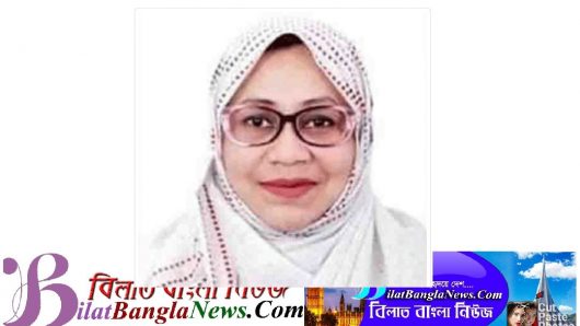 ছাতক পৌর শহরকে মনের মাধুরী মিশিয়ে ডিজিটাল শহর হিসাবে সাজাতে চাই:ন্যান্সি