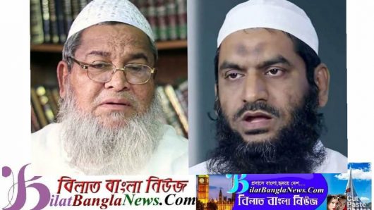 বাবুনগরী-মামুনুলদের বিরুদ্ধে রাষ্ট্রবিরোধী মামলার আবেদন