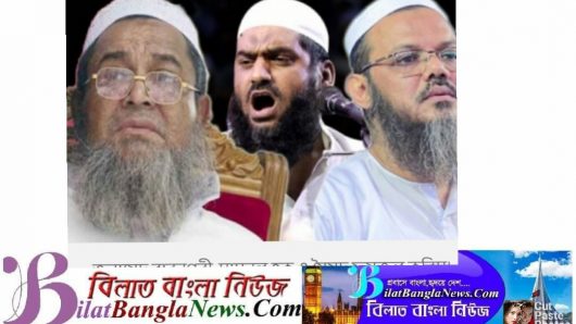 ভাস্কর্যবিরোধী বক্তব্য দেয়ায়, বাবুনগরী-মামুনুল-ফয়জুলের বিরুদ্ধে মামলা
