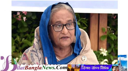 প্রকল্পের মেয়াদ ও টাকা বাড়ানোর ধারা বন্ধের নির্দেশ প্রধানমন্ত্রীর