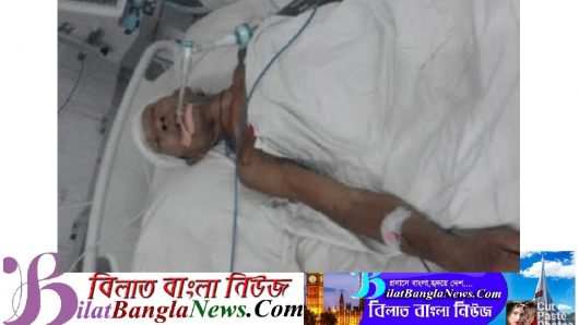 কমলগঞ্জে ছোট ভাইয়ের কোদালের আঘাতে বড় ভাইয়ের মৃত্যু