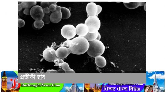 লন্ডনসহ পার্শ্ববর্তী এলাকায় দ্রুত ছড়াচ্ছে করোনার চেয়েও শক্তিশালী নতুন ভাইরাস