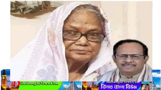 এমপি মুহিবুর রহমান মানিকের মা আর নেই