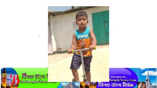 সুনামগঞ্জে পাথরের আঘাতে শিশু নিহত, ঘাতক যুবক আটক