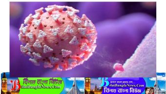 ইংল্যান্ডে নতুন বৈশিষ্ট্যের করোনাভাইরাস সম্পর্কে যে তথ্য পাওয়া গেছে