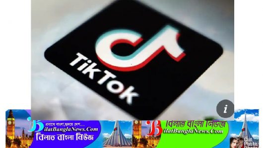 ইতালিতে টিকটক চ্যালেঞ্জের জন্য ভিডিও বানাতে গিয়ে এক শিশুর মৃত্যু