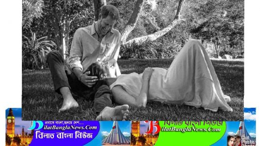 প্রিন্স হ্যারি-মেগানের ঘরে আসছে নতুন অতিথি
