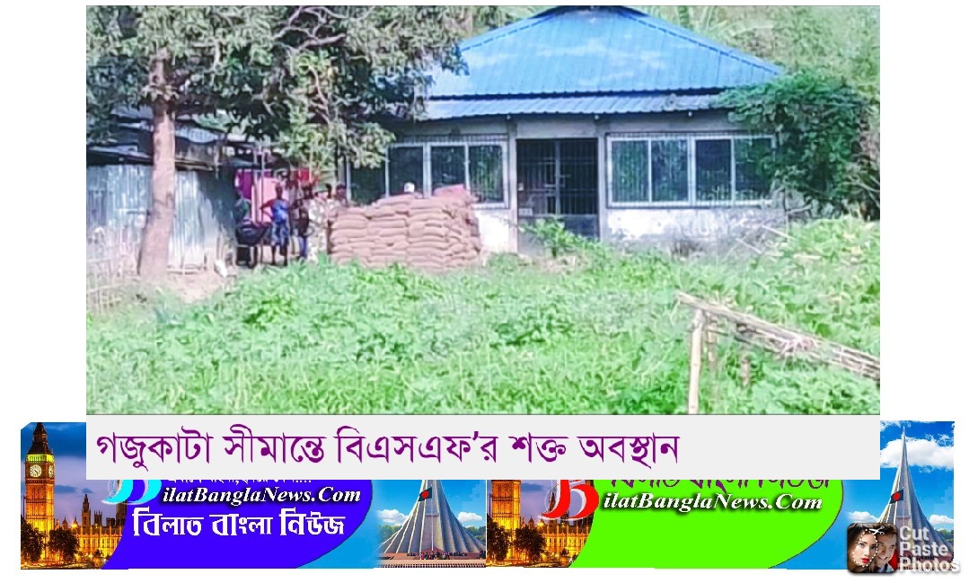 সিলেটের বিয়ানীবাজার সীমান্তে দেশের ভেতরে ঢুকে মসজিদ নির্মাণে বিএসএফের বাঁধা