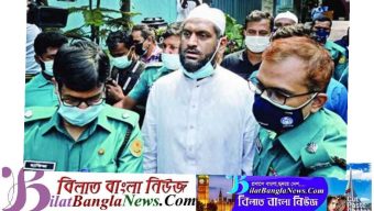 মোবাইল-মানিব্যাগ চুরি করেন মামুনুল ও তার ভাই: পুলিশ