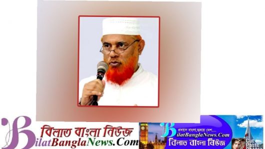 হেফাজতের নায়েবে আমির ড. আহমদ আবদুল কাদের গ্রেপ্তার
