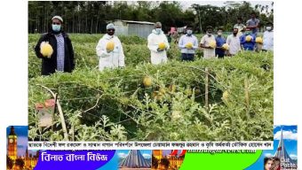 ছাতকে বিদেশি ফল চাষে তিনজন কৃষকের সফলতা