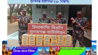 সুনামগঞ্জের বিভিন্ন সীমান্তে লক্ষাধিক টাকার ভারতীয় পণ্য আটক করেছে বিজিবি