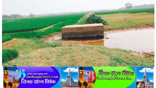 ব্রীজ আছে,নেই সংযোগ সড়ক,চরম ভোগান্তির শিকার এলাকাবাসী