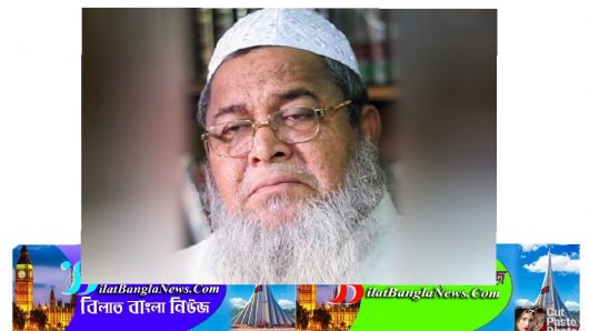 বাবুনগরীর বিরুদ্ধে হাটহাজারীতে ২ মামলা