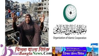 ফিলিস্তিনে ইসরাঈলি  আগ্রাসন: কী সিদ্ধান্ত নিল ওআইসি?