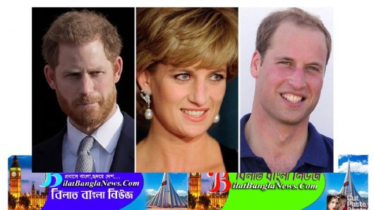 ডায়ানার মৃত্যুর জন্য বিবিসিকে দায়ী করছেন হ্যারি-উইলিয়াম