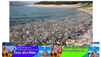 লেবাননের হ্রদে ভাসছে ৪০ টন মরা মাছ