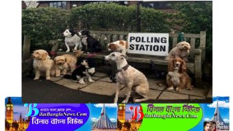 যুক্তরাজ্যের ঐতিহ্য: ভোটকেন্দ্রে কুকুরের উপস্থিতি
