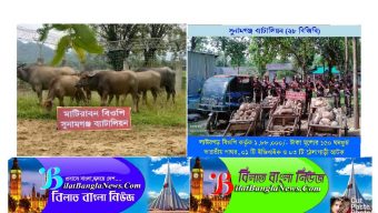 সুনামগঞ্জ সীমান্তে ১৫ লক্ষ টাকার বিভিন্ন চোরাই পণ্য আটক করেছে বিজিবি