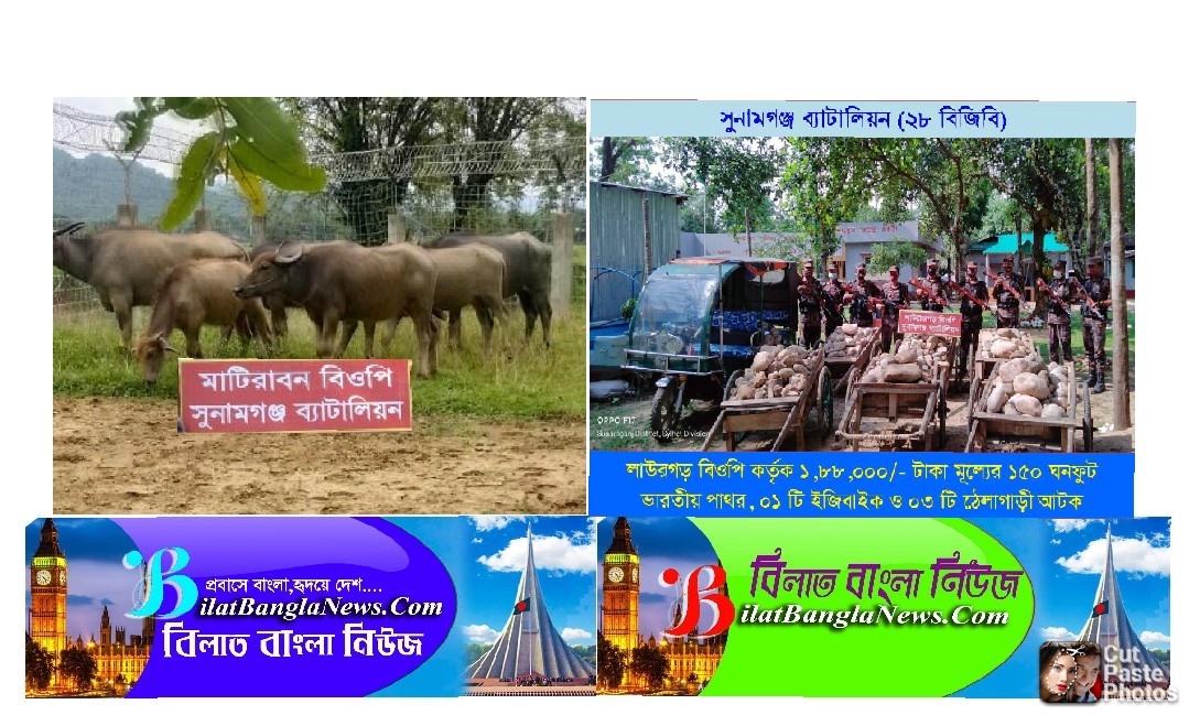 সুনামগঞ্জ সীমান্তে ১৫ লক্ষ টাকার বিভিন্ন চোরাই পণ্য আটক করেছে বিজিবি