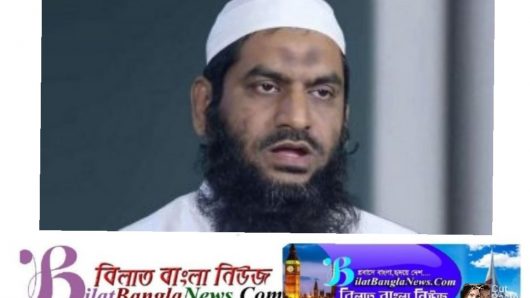 সম্পদ আত্মসাৎ: মামুনুলসহ ৪৩ জনের বিরুদ্ধে মাদ্রাসার মামলা