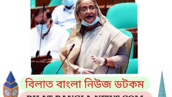 সুন্দরবনে কৃত্রিম ম্যানগ্রোভ সৃষ্টির উদ্যোগ নিয়েছে সরকার