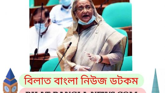 সুন্দরবনে কৃত্রিম ম্যানগ্রোভ সৃষ্টির উদ্যোগ নিয়েছে সরকার