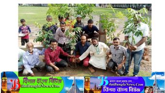 বিশ্বমভর পুর যুবলীগের উদ্যোগে বৃক্ষ রোপন