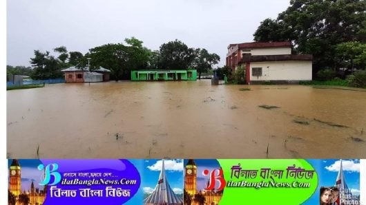 সুনামগঞ্জে বন্যার পদ ধ্বনিতে নিম্নাঞ্চল প্লাবিত,দুই সহোদর শিশু নিখোঁজ:দুটি উপজেলার সাথে সড়ক যোগাযোগ বিচ্ছিন্ন 