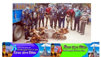 ঢাকা বিমানবন্দরের এক রেষ্টুরেন্টে নিয়মিত বিক্রি হয় মরা মুরগি!পাঁচ শতাধিক মরা মুরগি উদ্ধার