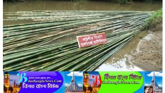 ভারতীয় মদ,ইঞ্জিন নৌকা এবং বাঁশ আটক করেছে সুনামগঞ্জ বিজিবি
