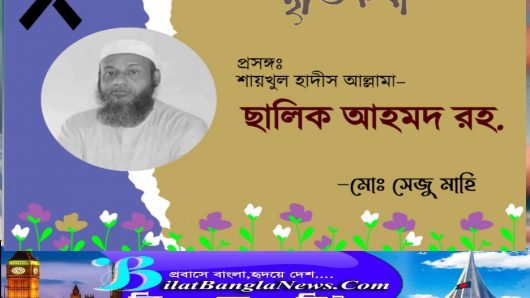 আল্লামা ছালিক আহমদ রহ.কে নিয়ে স্মৃতিকথা