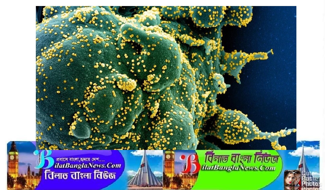 ইংল্যান্ডে  এক সপ্তাহে ডেল্টা ভ্যারিয়েন্টে আক্রান্ত বেড়েছে ৪৬ শতাংশ