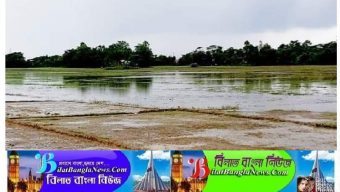 ভারী বর্ষন ও পাহাড়ী ঢলে তলিয়ে গেছে ছাতকের রোপা-আমনের অনেক বীজতলা