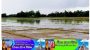 ভারী বর্ষন ও পাহাড়ী ঢলে তলিয়ে গেছে ছাতকের রোপা-আমনের অনেক বীজতলা