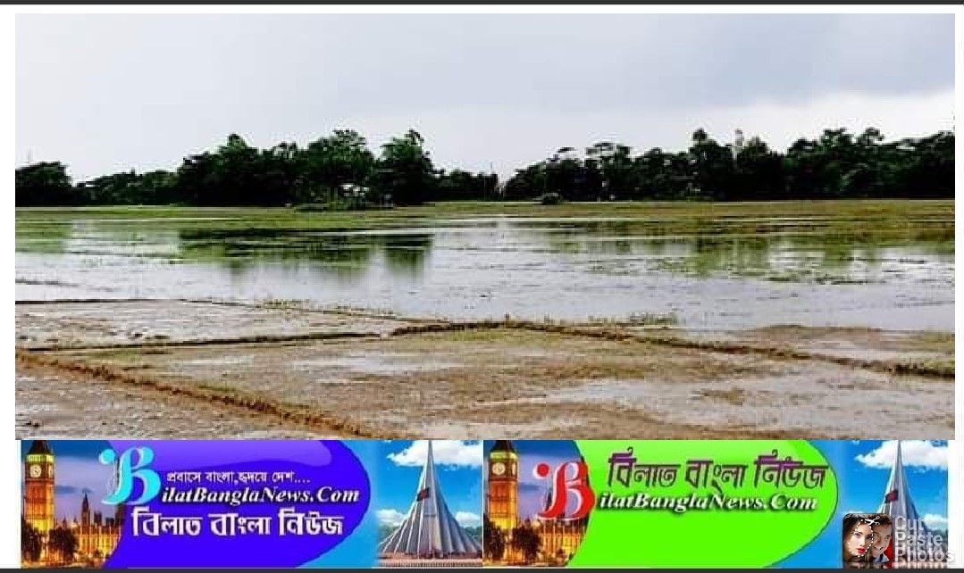 ভারী বর্ষন ও পাহাড়ী ঢলে তলিয়ে গেছে ছাতকের রোপা-আমনের অনেক বীজতলা