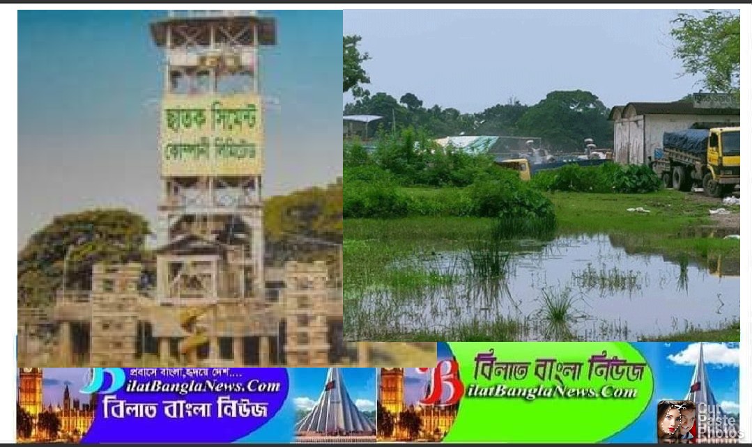 ছাতক সিমেন্ট কোম্পানিতে হরিলুট চলছে,জড়িত খোঁদ কর্মকর্তারাই!