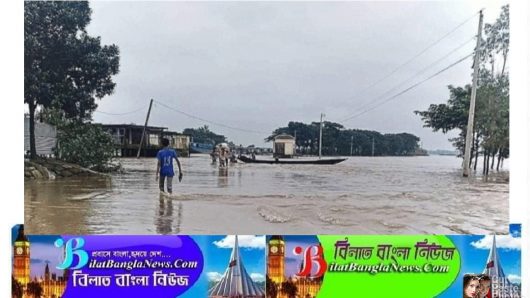 বৃষ্টিপাত ও পাহাড়ি ঢলের পানিতে সুনামগঞ্জের নীচু এলাকা প্লাবিত
