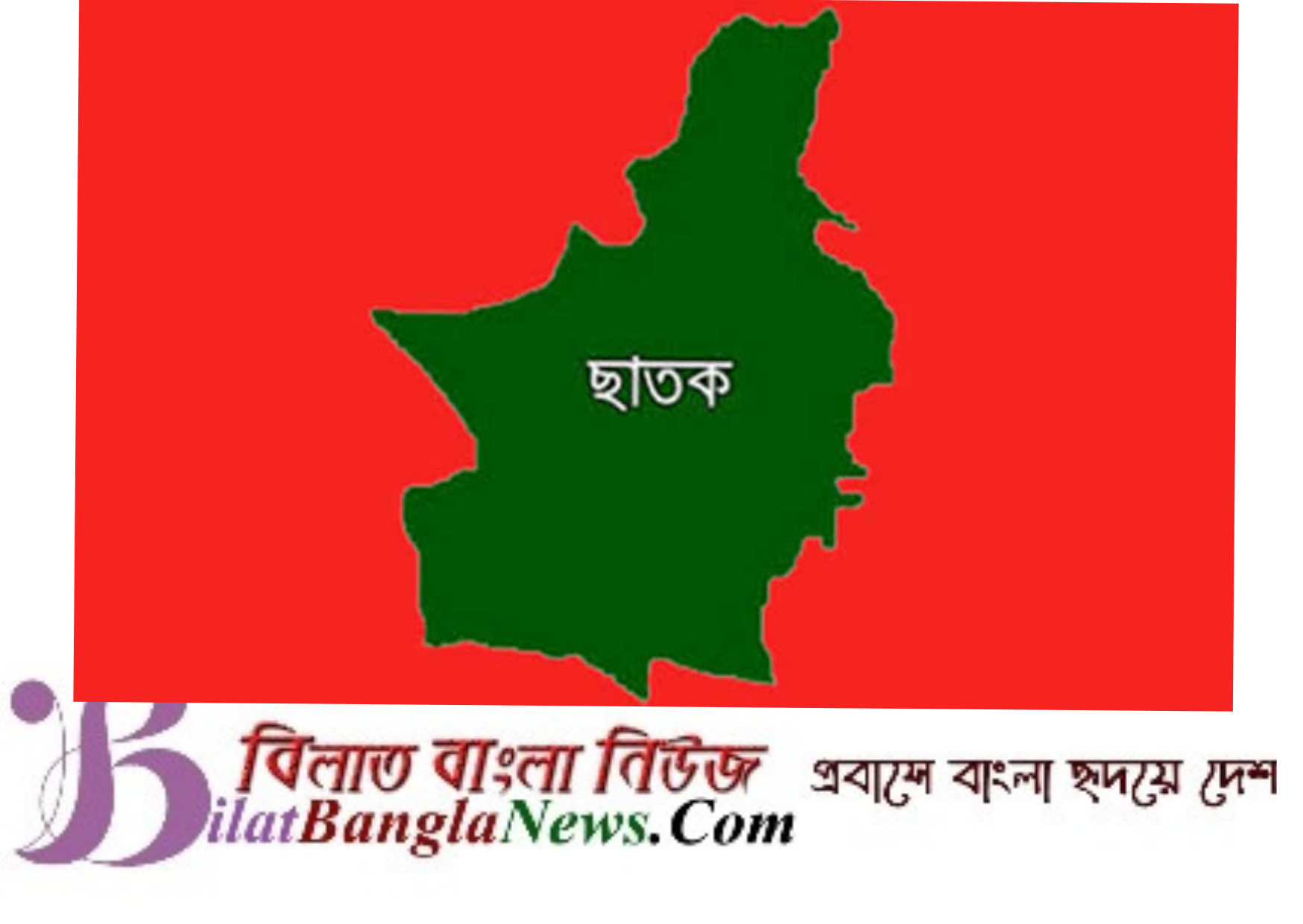 ছাতকে প্রবাসীর স্ত্রীকে ধর্ষণ: ধর্ষক গ্রেফতার