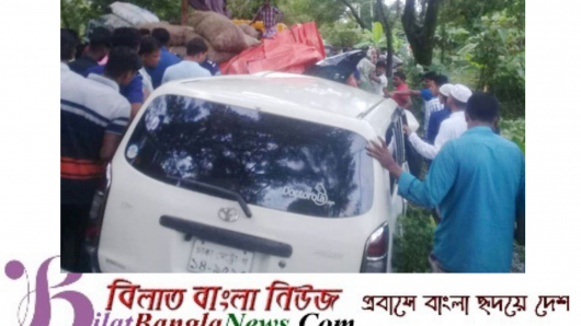 সিলেটে কার–পিকআপের সংঘর্ষে দাদা-নাতি নিহত