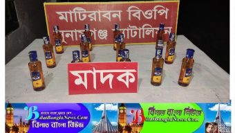 সুনামগঞ্জ সীমান্তে বিজিবির অভিযানে প্রচুর চোরাই পণ্য আটক