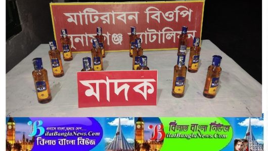 সুনামগঞ্জ সীমান্তে বিজিবির অভিযানে প্রচুর চোরাই পণ্য আটক