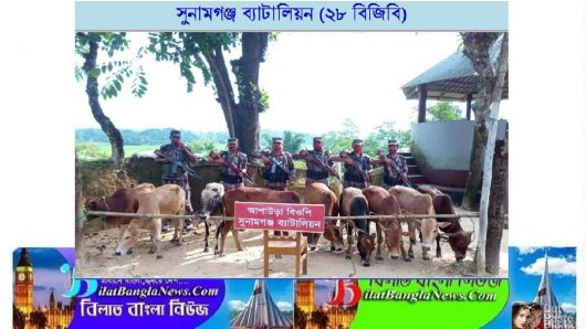 বিজিবির অভিযানে সুনামগঞ্জ সীমান্তে নানা পণ্য আটক 