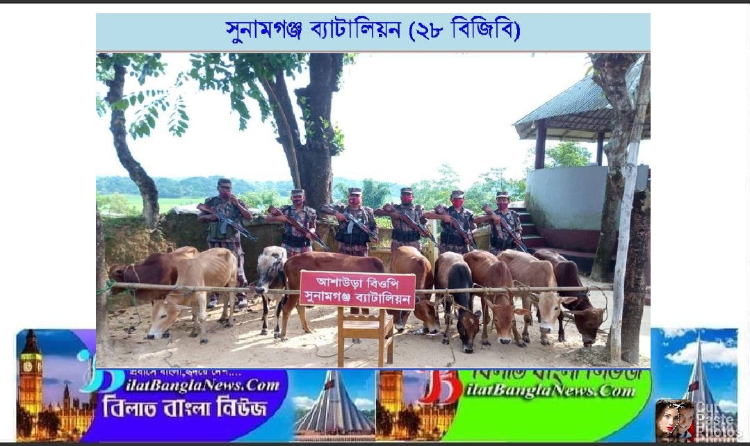বিজিবির অভিযানে সুনামগঞ্জ সীমান্তে নানা পণ্য আটক 
