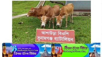সুনামগঞ্জ সীমান্তে ৭ লক্ষাধিক টাকার মালামাল আটক করেছে বিজিবি