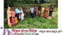 ছাতকে গ্রামীণ-ব্যাংকের উদ্যোগে শেখ রাসেল দিবসে বৃক্ষরোপন কর্মসূচি পালন